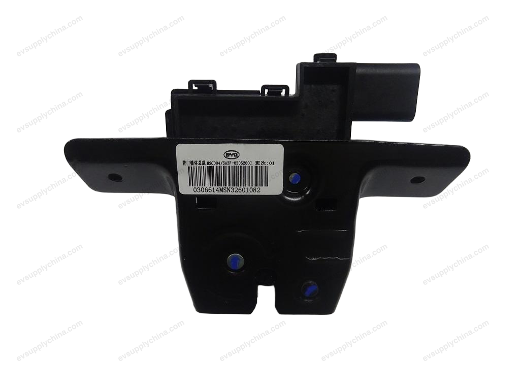 Rear door lock assembly