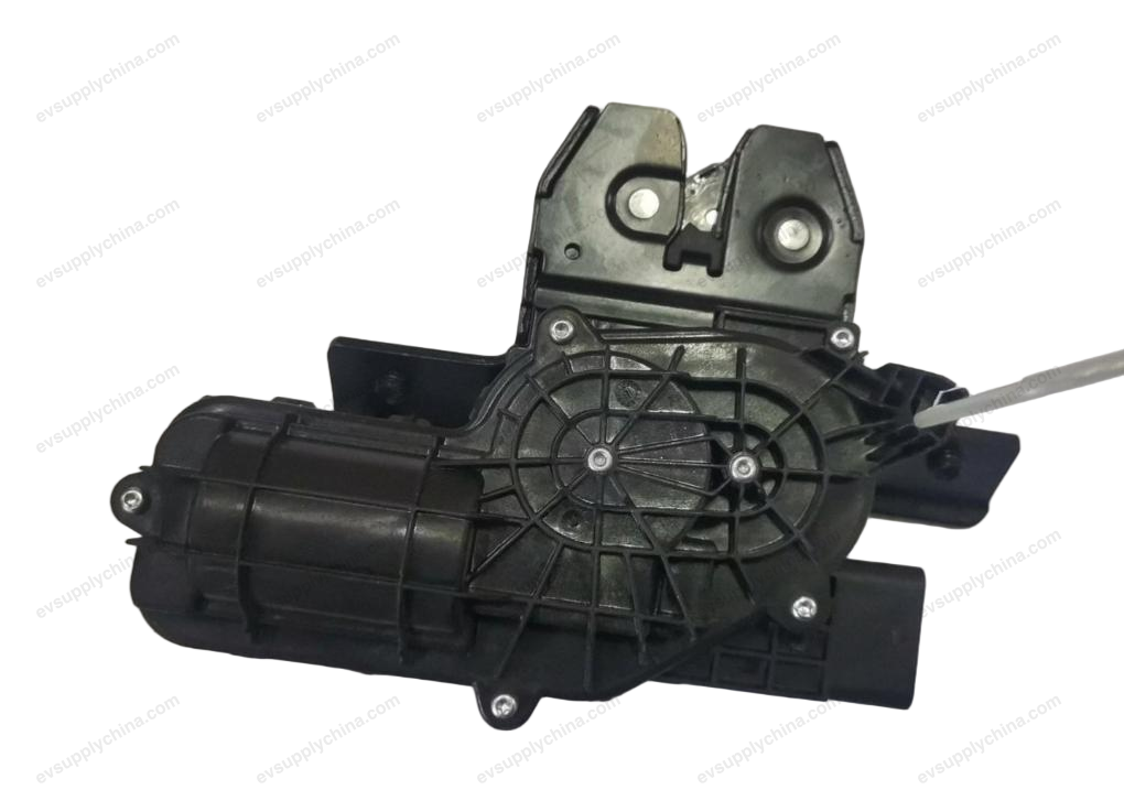 Back door lock body