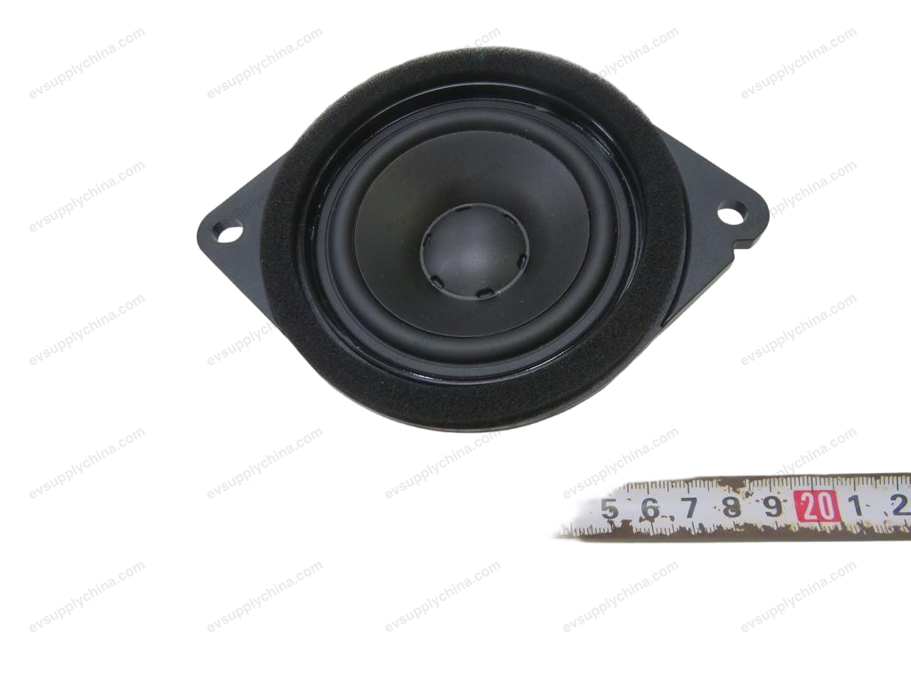 Center speaker — Denza D9