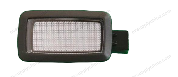 Left door light - black chocolate — Denza D9