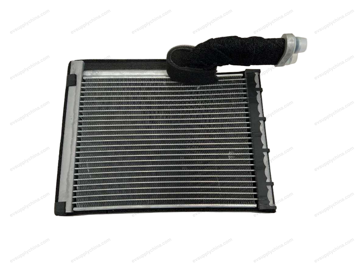 Rear Evaporator Assembly