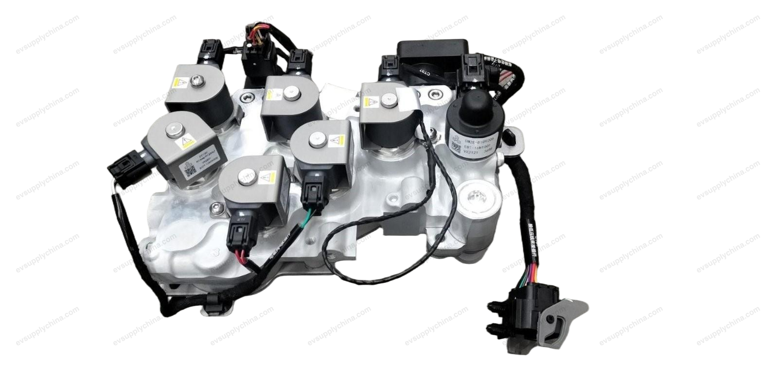 Thermal Management Integrated Module — BYD Dolphin