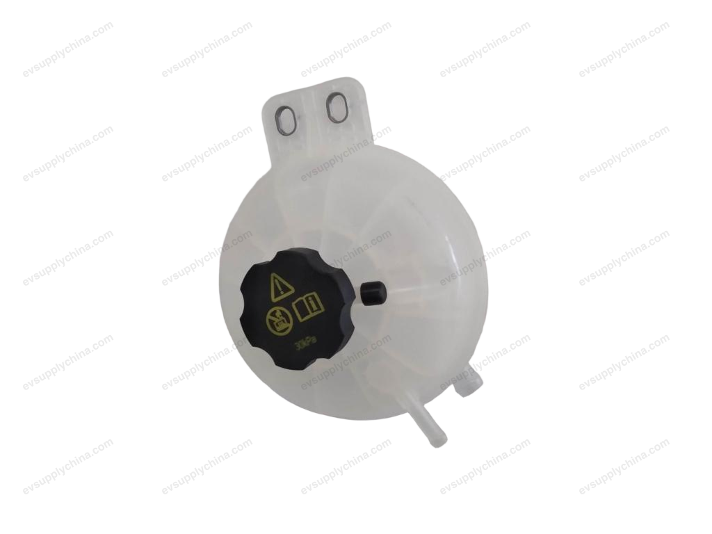 Auxiliary water tank assembly I — Denza D9