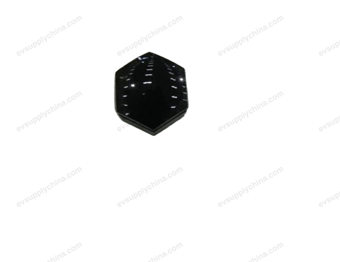 High Gloss Black — Denza D9