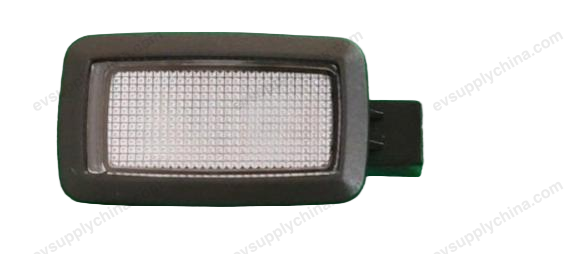 Left door light - black chocolate — Denza D9