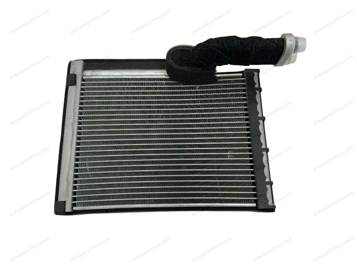 Rear Evaporator Assembly — Denza D9