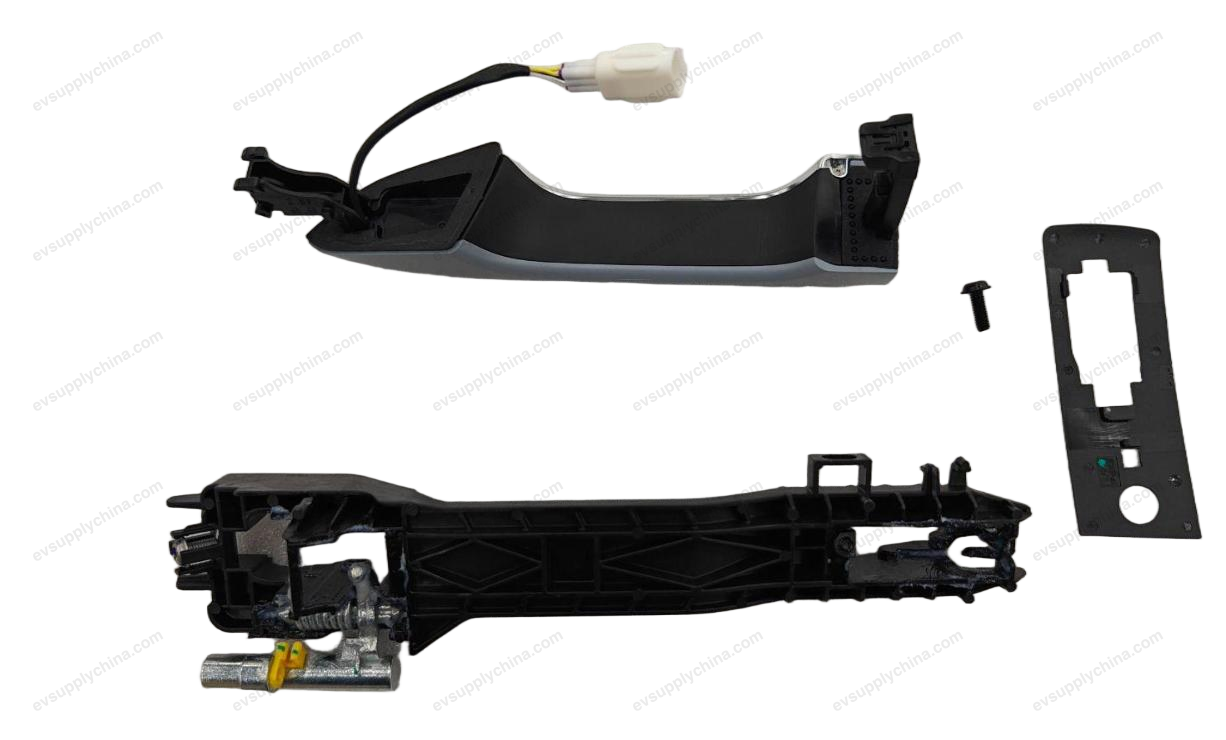 Right front door handle assembly — Denza D9