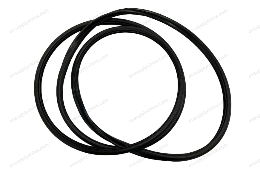 Sunroof glass sealing strip — Denza D9